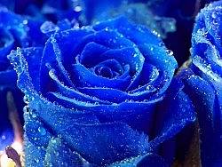 關(guān)于設(shè)計(jì)的小心得（個(gè)人主頁(yè)-ZNjE4NDQ=） - 多領(lǐng)域 - 站酷設(shè)計(jì)師創(chuàng)藝設(shè)計(jì)悠原創(chuàng)素材 - 站酷ZCOOL