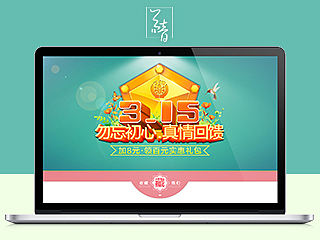 天猫旗舰店首页：315页面