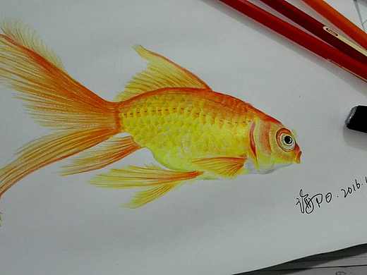 一个老设计对新人的几句话（个人主页-ZNDAxNDM2） - 多领域 - 站酷设计师影智品牌原创素材 - 站酷ZCOOL