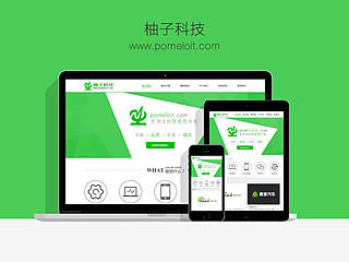企业网站—柚子科技
