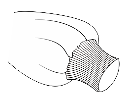 CDR服装设计-CorelDRAW怎么画罗纹