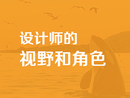设计师的视野和角色
