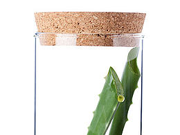 通道扣玻璃法——白色背景下的抠图方法