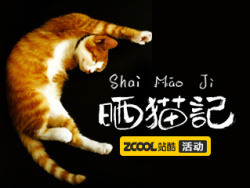 晒猫记——春眠不觉晓，处处闻啼喵。