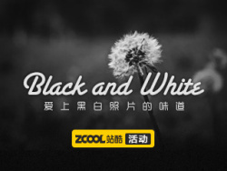 爱上黑白照片的味道