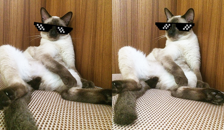 ethanlee_2004的個人主頁（封面預(yù)覽） - 主頁封面設(shè)置 - 站酷設(shè)計師ethanlee_2004原創(chuàng)素材 - 站酷ZCOOL