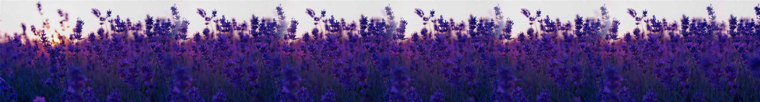 八月設(shè)計(jì)站的個(gè)人主頁(yè)（封面預(yù)覽） - 主頁(yè)封面設(shè)置 - 站酷設(shè)計(jì)師八月設(shè)計(jì)站原創(chuàng)素材 - 站酷ZCOOL