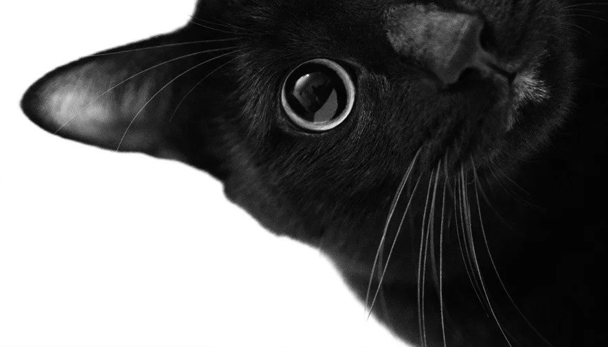 東威Davey的個(gè)人主頁(yè)（封面預(yù)覽） - 主頁(yè)封面設(shè)置 - 站酷設(shè)計(jì)師東威Davey原創(chuàng)素材 - 站酷ZCOOL