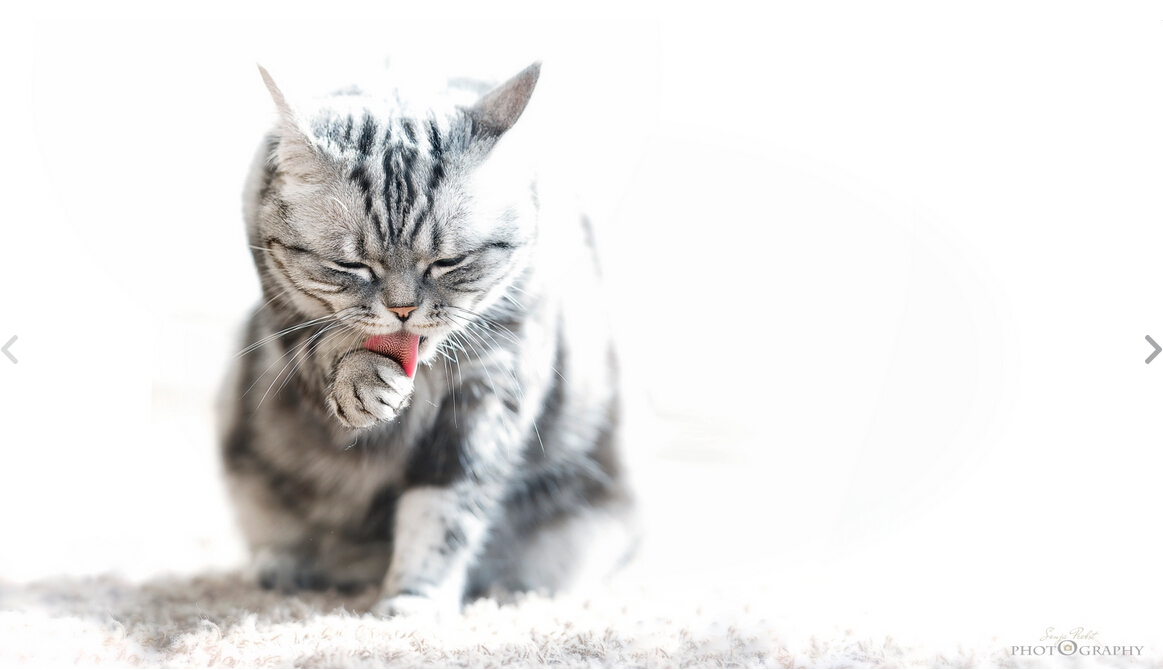 俏_329的个人主页（封面预览） - 主页封面设置 - 站酷设计师俏_329原创素材 - 站酷ZCOOL