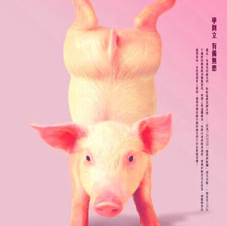 茳小寶的個人主頁（封面預覽） - 主頁封面設置 - 站酷設計師茳小寶原創(chuàng)素材 - 站酷ZCOOL