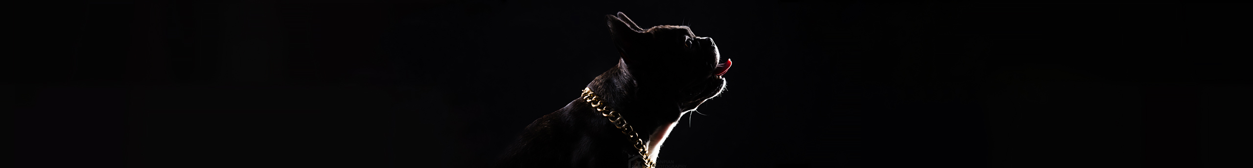 鎏Studio的個(gè)人主頁(yè)（封面預(yù)覽） - 主頁(yè)封面設(shè)置 - 站酷設(shè)計(jì)師鎏Studio原創(chuàng)素材 - 站酷ZCOOL