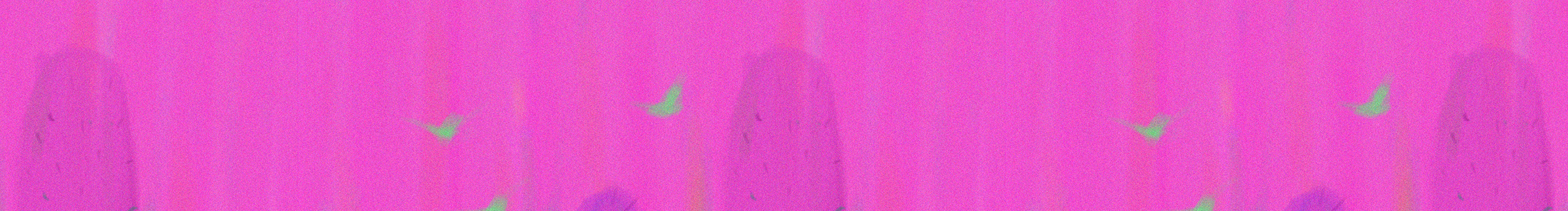 小肺的个人主页（封面预览） - 主页封面设置 - 站酷设计师小肺原创素材 - 站酷ZCOOL