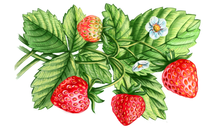 许诺的眼泪的个人主页（封面预览） - 主页封面设置 - 站酷设计师许诺的眼泪原创素材 - 站酷ZCOOL