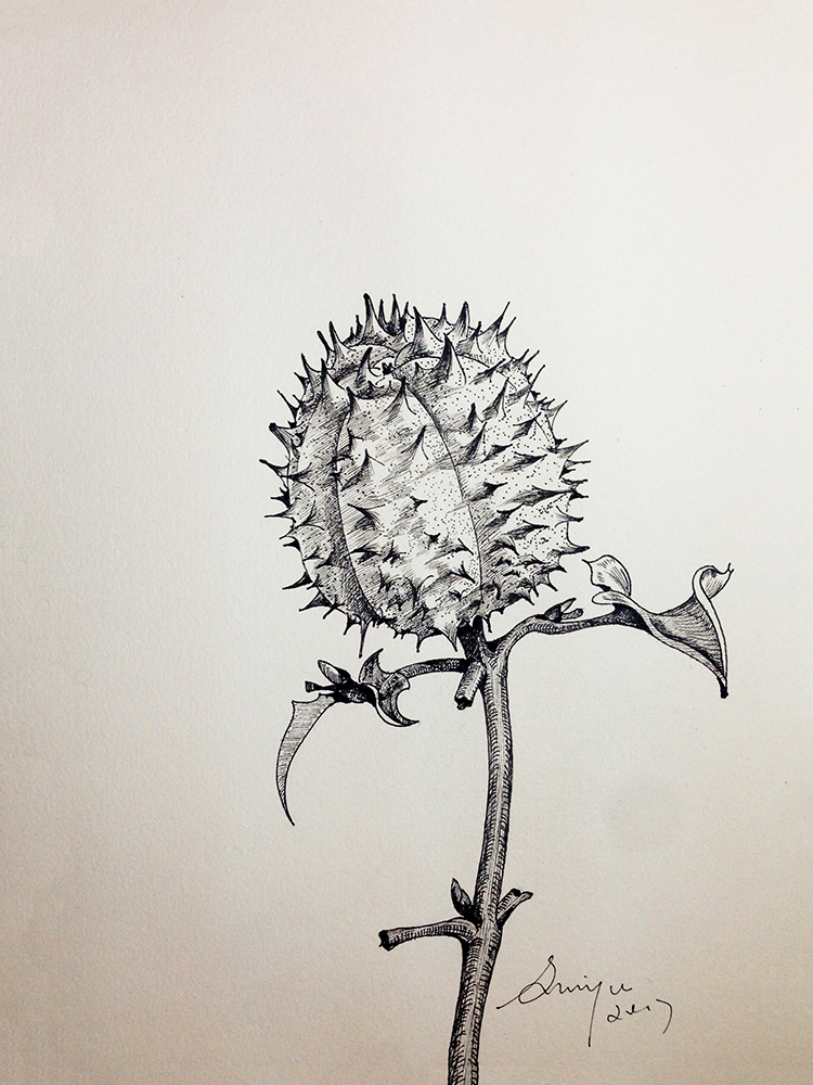 時雨美術RAINART的個人主頁（封面預覽） - 主頁封面設置 - 站酷設計師時雨美術RAINART原創(chuàng)素材 - 站酷ZCOOL