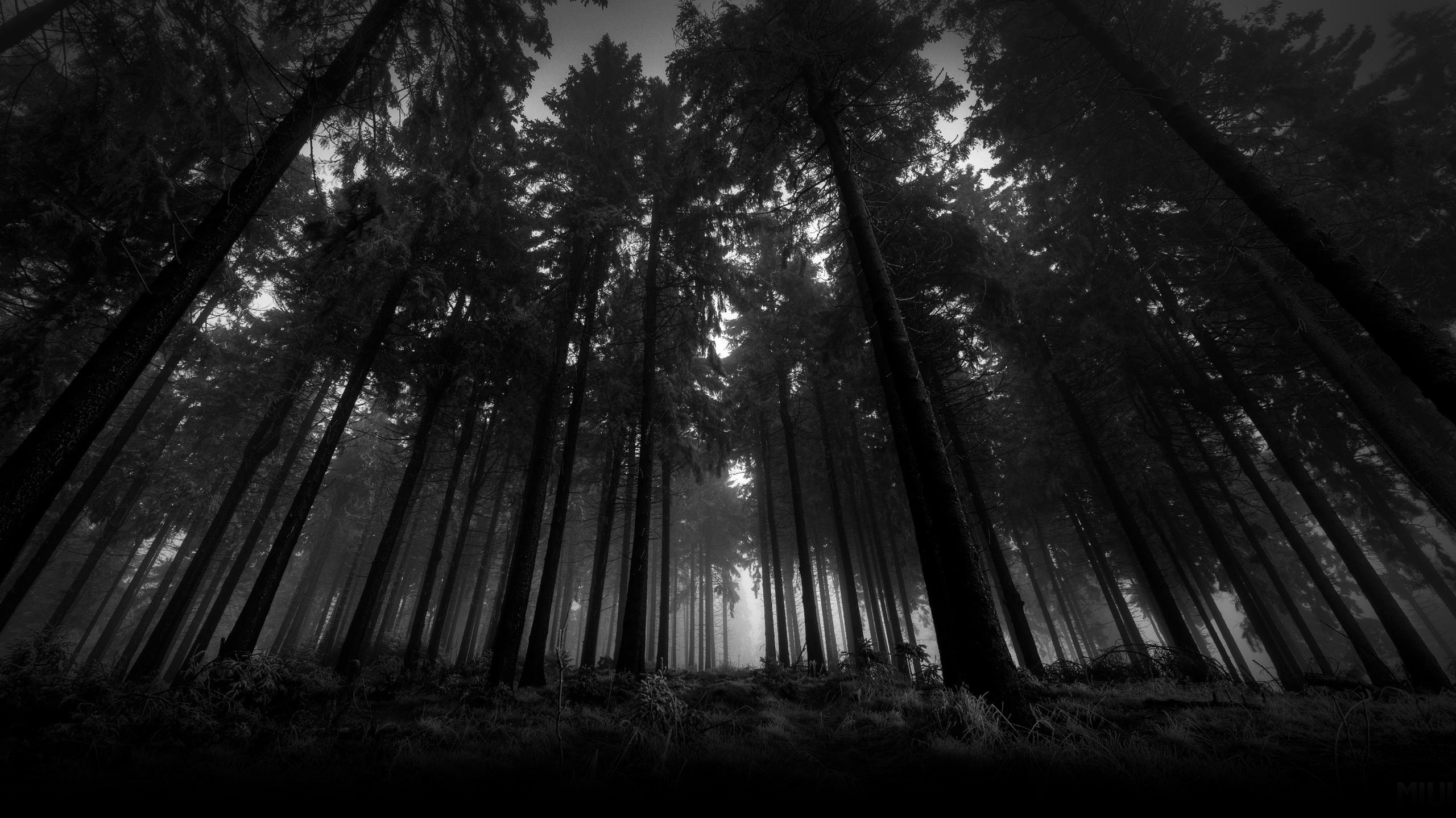 任意想象的个人主页（封面预览） - 主页封面设置 - 站酷设计师任意想象原创素材 - 站酷ZCOOL