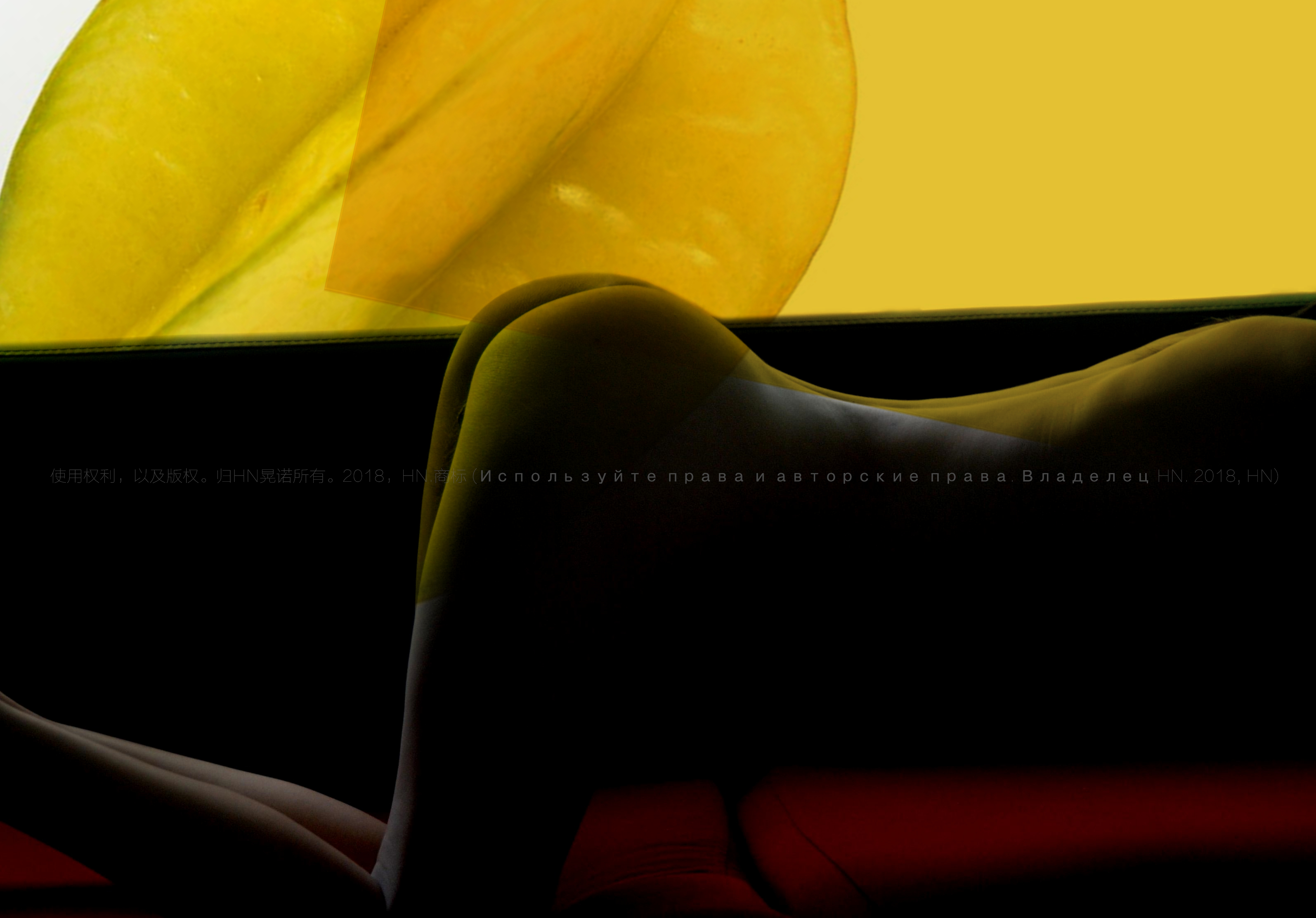 晃喏HN的個人主頁（封面預覽） - 主頁封面設(shè)置 - 站酷設(shè)計師晃喏HN原創(chuàng)素材 - 站酷ZCOOL