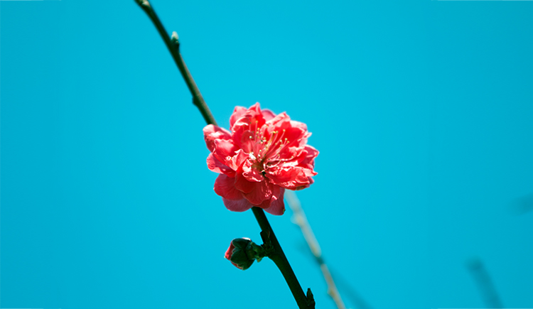 何邦將的個(gè)人主頁(yè)（封面預(yù)覽） - 主頁(yè)封面設(shè)置 - 站酷設(shè)計(jì)師何邦將原創(chuàng)素材 - 站酷ZCOOL