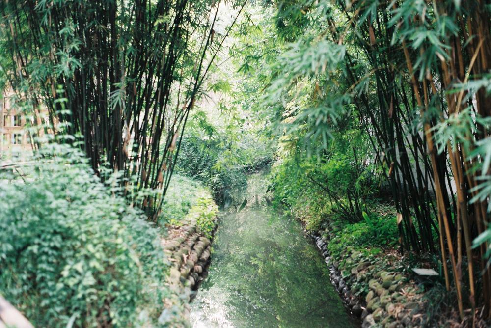 十一PHOTO的個(gè)人主頁(yè)（封面預(yù)覽） - 主頁(yè)封面設(shè)置 - 站酷設(shè)計(jì)師十一PHOTO原創(chuàng)素材 - 站酷ZCOOL