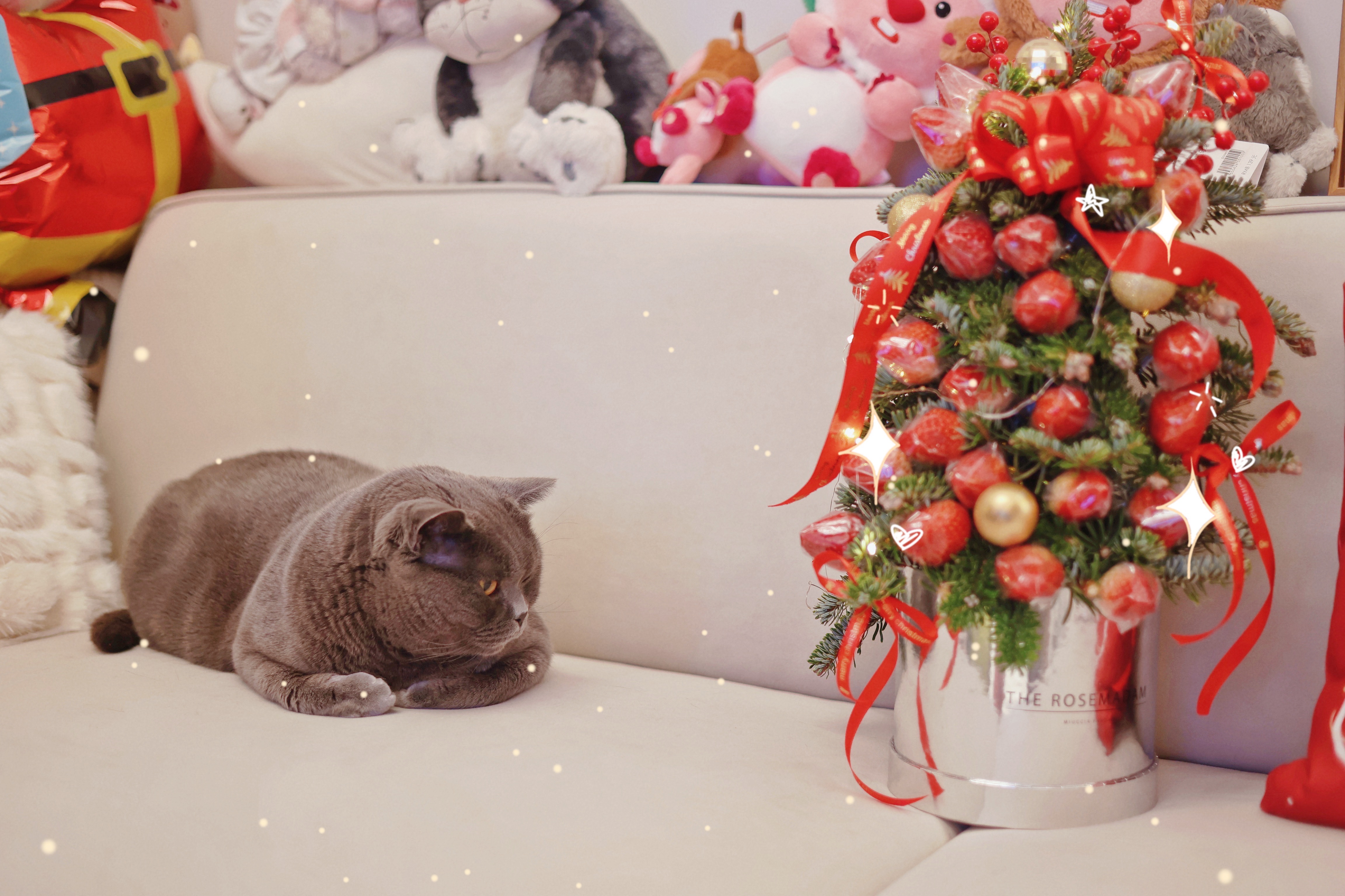 夏夏大西瓜的個(gè)人主頁（封面預(yù)覽） - 主頁封面設(shè)置 - 站酷設(shè)計(jì)師夏夏大西瓜原創(chuàng)素材 - 站酷ZCOOL