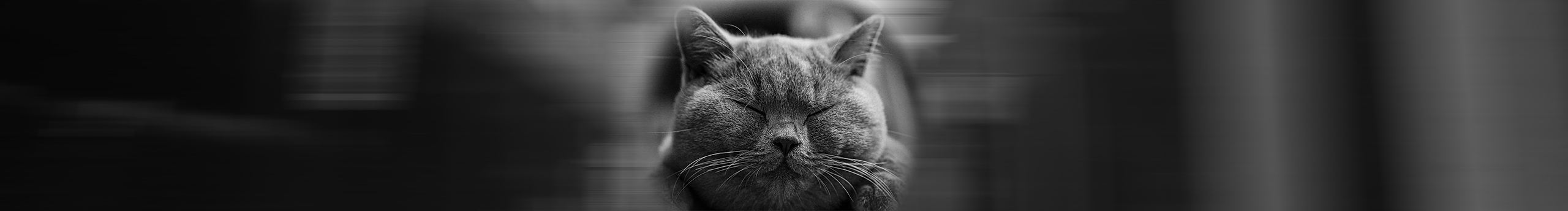 酷趣咔咔的個(gè)人主頁(yè)（封面預(yù)覽） - 主頁(yè)封面設(shè)置 - 站酷設(shè)計(jì)師酷趣咔咔原創(chuàng)素材 - 站酷ZCOOL