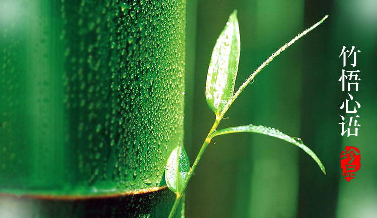 英雄視覺(jué)的個(gè)人主頁(yè)（封面預(yù)覽） - 主頁(yè)封面設(shè)置 - 站酷設(shè)計(jì)師英雄視覺(jué)原創(chuàng)素材 - 站酷ZCOOL