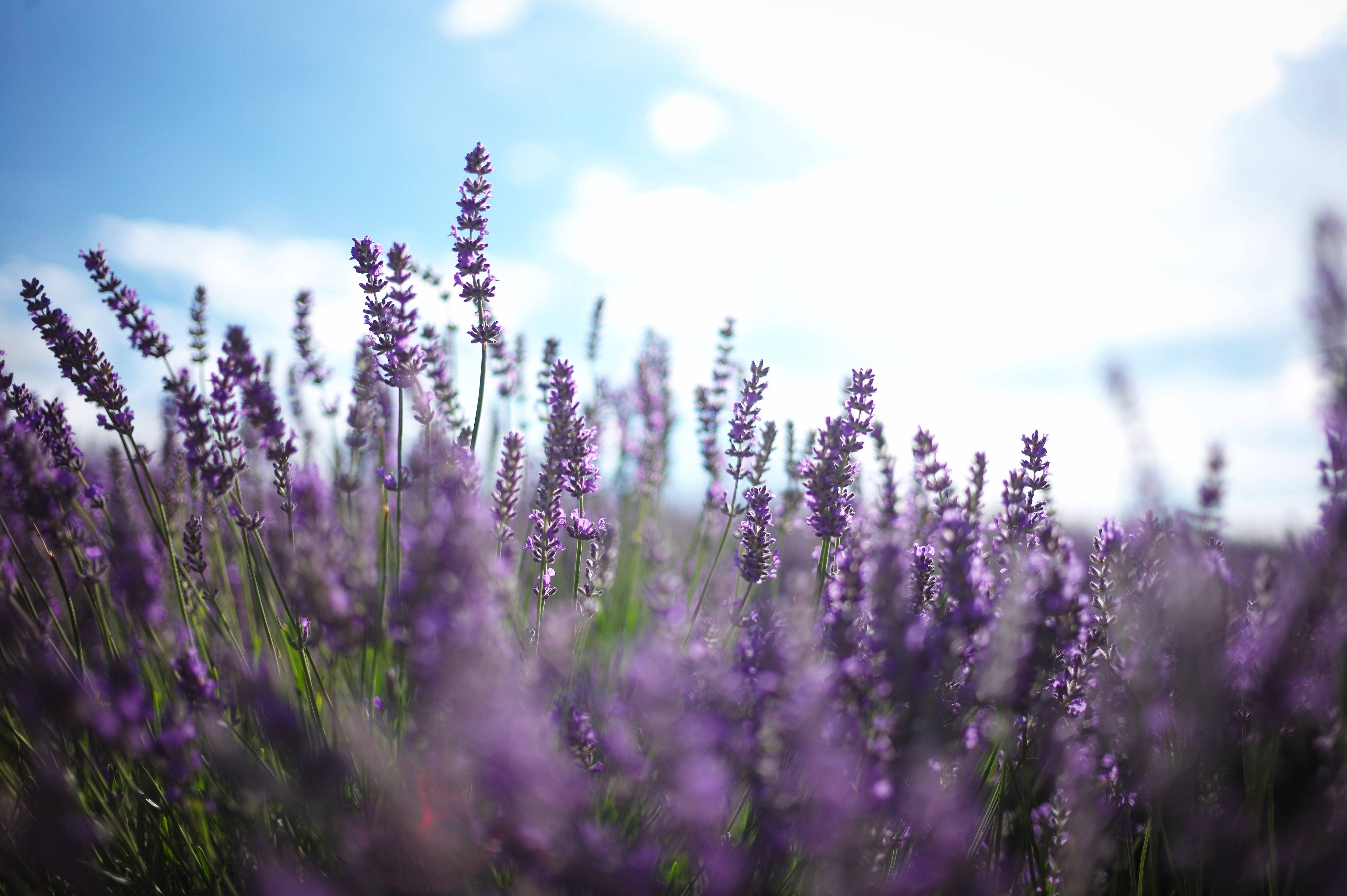 圆圆的圆又圆的个人主页（封面预览） - 主页封面设置 - 站酷设计师圆圆的圆又圆原创素材 - 站酷ZCOOL