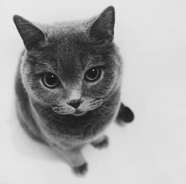 童小玖的個人主頁（封面預覽） - 主頁封面設置 - 站酷設計師童小玖原創(chuàng)素材 - 站酷ZCOOL