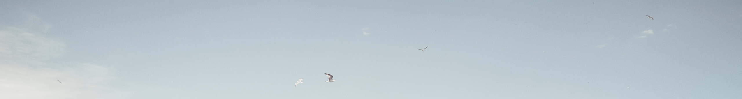 鹿之森的个人主页（封面预览） - 主页封面设置 - 站酷设计师鹿之森原创素材 - 站酷ZCOOL