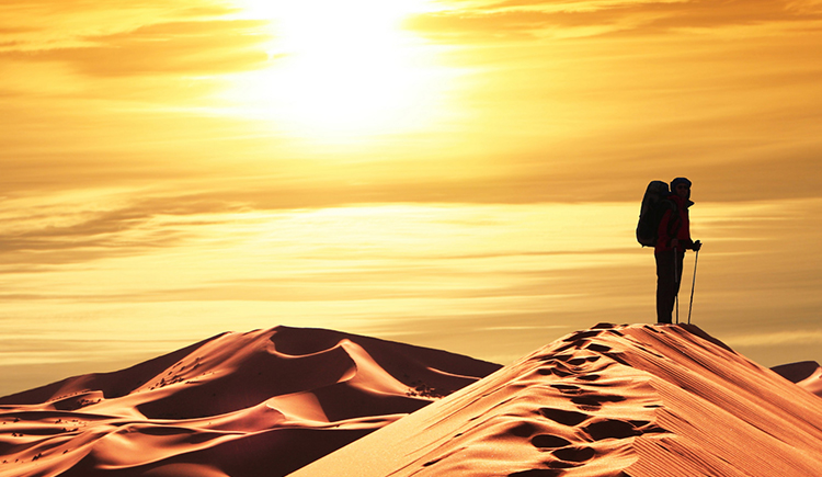 沙漠里的一滴水的个人主页（封面预览） - 主页封面设置 - 站酷设计师沙漠里的一滴水原创素材 - 站酷ZCOOL