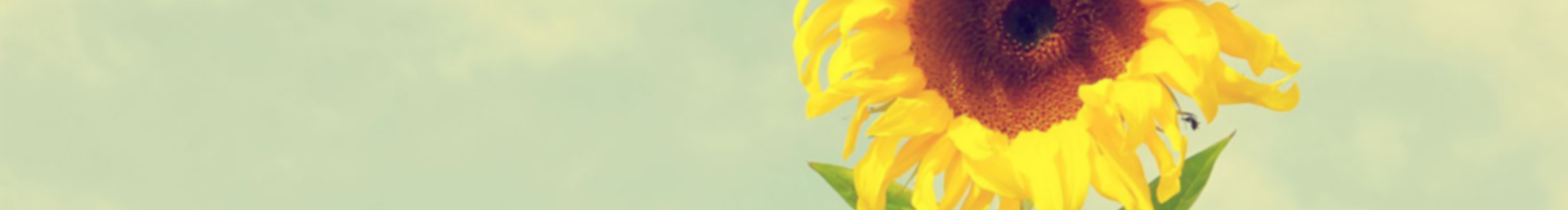 忆豆的个人主页（封面预览） - 主页封面设置 - 站酷设计师忆豆原创素材 - 站酷ZCOOL