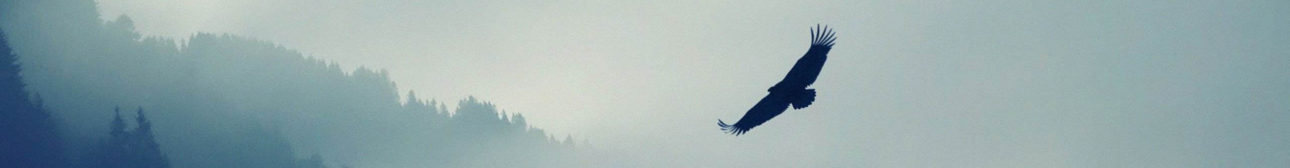 尼古拉斯凱學的個人主頁（封面預覽） - 主頁封面設置 - 站酷設計師尼古拉斯凱學原創(chuàng)素材 - 站酷ZCOOL