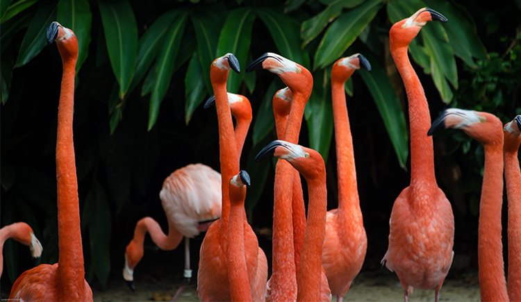 encountered的个人主页（封面预览） - 主页封面设置 - 站酷设计师encountered原创素材 - 站酷ZCOOL