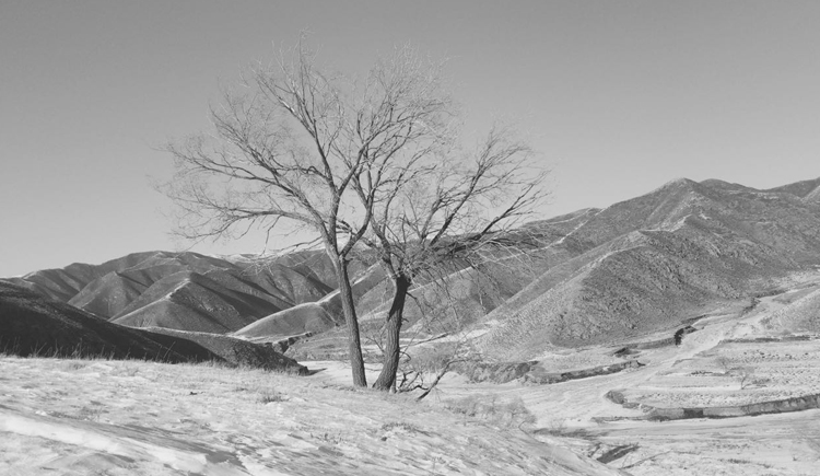 TOOLOOT的个人主页（封面预览） - 主页封面设置 - 站酷设计师TOOLOOT原创素材 - 站酷ZCOOL