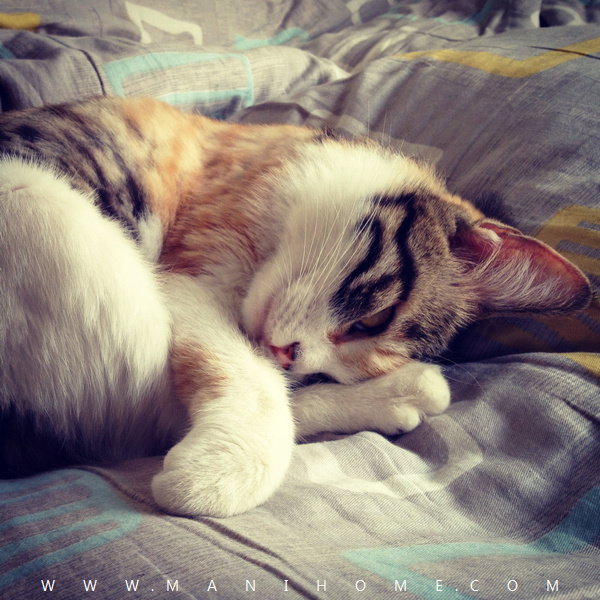 走路遙的個人主頁（封面預(yù)覽） - 主頁封面設(shè)置 - 站酷設(shè)計師走路遙原創(chuàng)素材 - 站酷ZCOOL