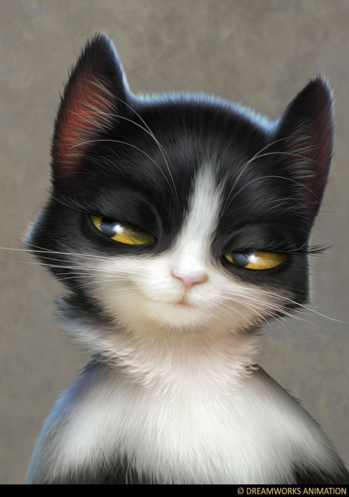 猫熊熊一窝的个人主页（封面预览） - 主页封面设置 - 站酷设计师猫熊熊一窝原创素材 - 站酷ZCOOL