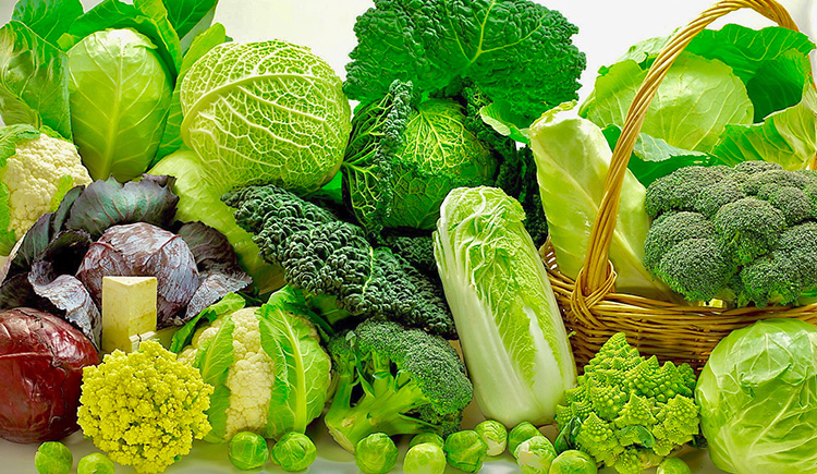 hiyuexin的個人主頁（封面預覽） - 主頁封面設置 - 站酷設計師hiyuexin原創(chuàng)素材 - 站酷ZCOOL