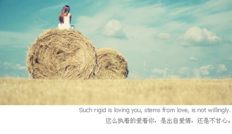 小鱼小y的个人主页（封面预览） - 主页封面设置 - 站酷设计师小鱼小y原创素材 - 站酷ZCOOL