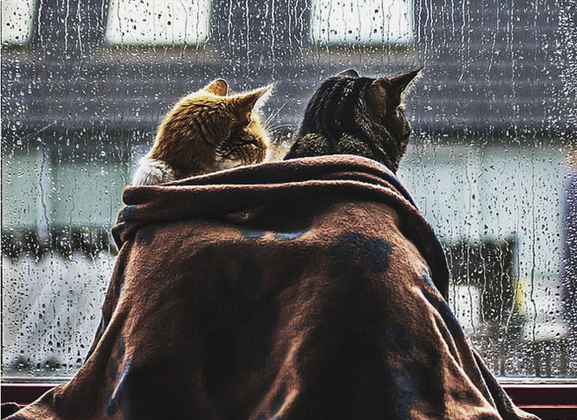 parkmiki的个人主页（封面预览） - 主页封面设置 - 站酷设计师parkmiki原创素材 - 站酷ZCOOL