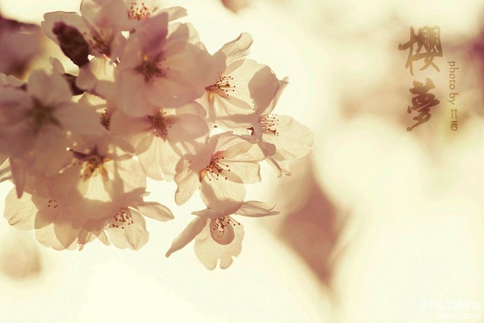 姐的試卷清清爽爽的個人主頁（封面預(yù)覽） - 主頁封面設(shè)置 - 站酷設(shè)計師姐的試卷清清爽爽原創(chuàng)素材 - 站酷ZCOOL