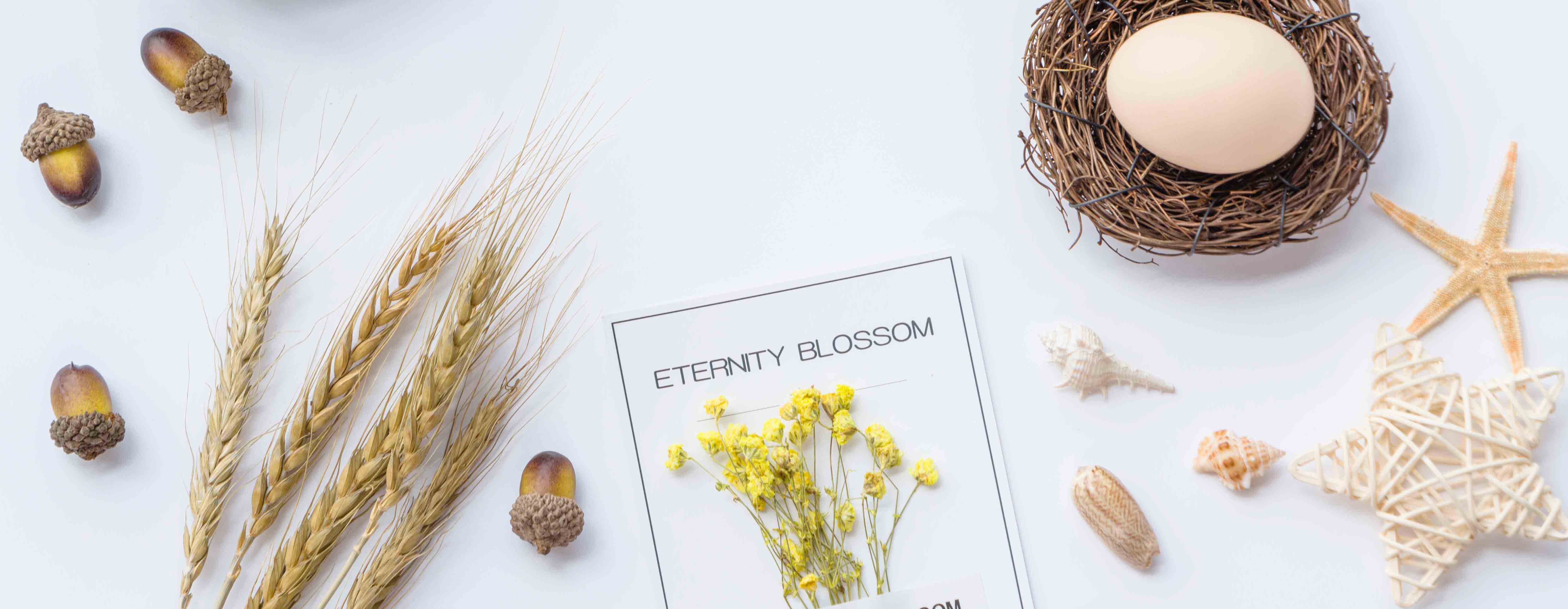 小小粉的個(gè)人主頁(yè)（封面預(yù)覽） - 主頁(yè)封面設(shè)置 - 站酷設(shè)計(jì)師小小粉原創(chuàng)素材 - 站酷ZCOOL