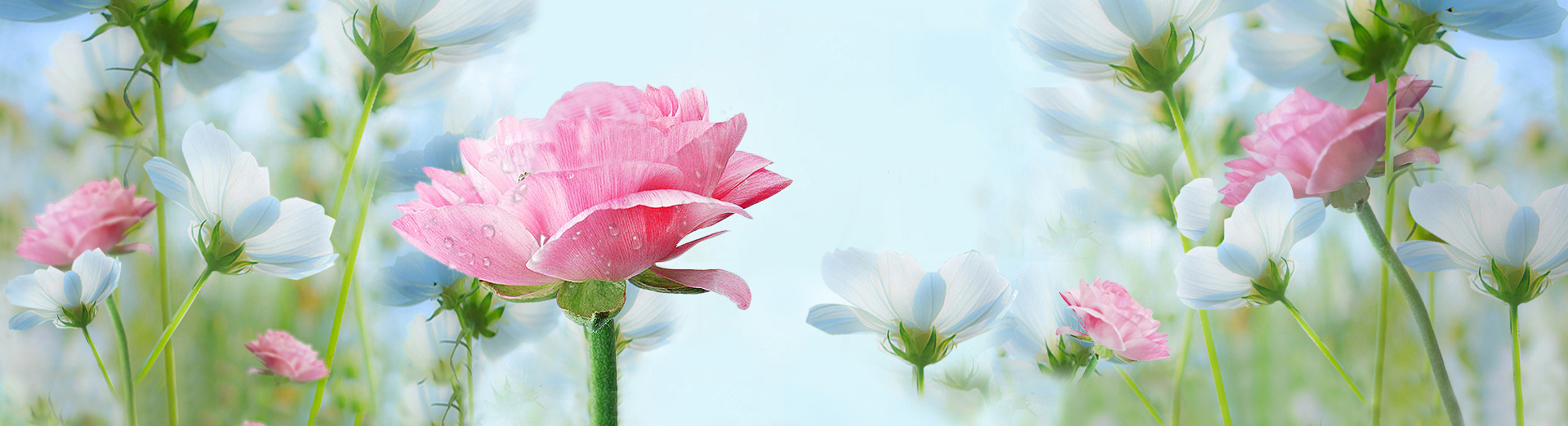 337540302的个人主页（封面预览） - 主页封面设置 - 站酷设计师337540302原创素材 - 站酷ZCOOL