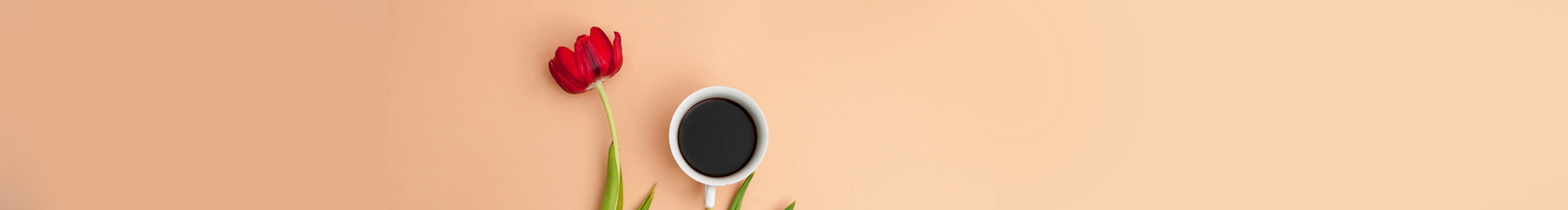 甜甜圈1992753014的个人主页（封面预览） - 主页封面设置 - 站酷设计师甜甜圈1992753014原创素材 - 站酷ZCOOL