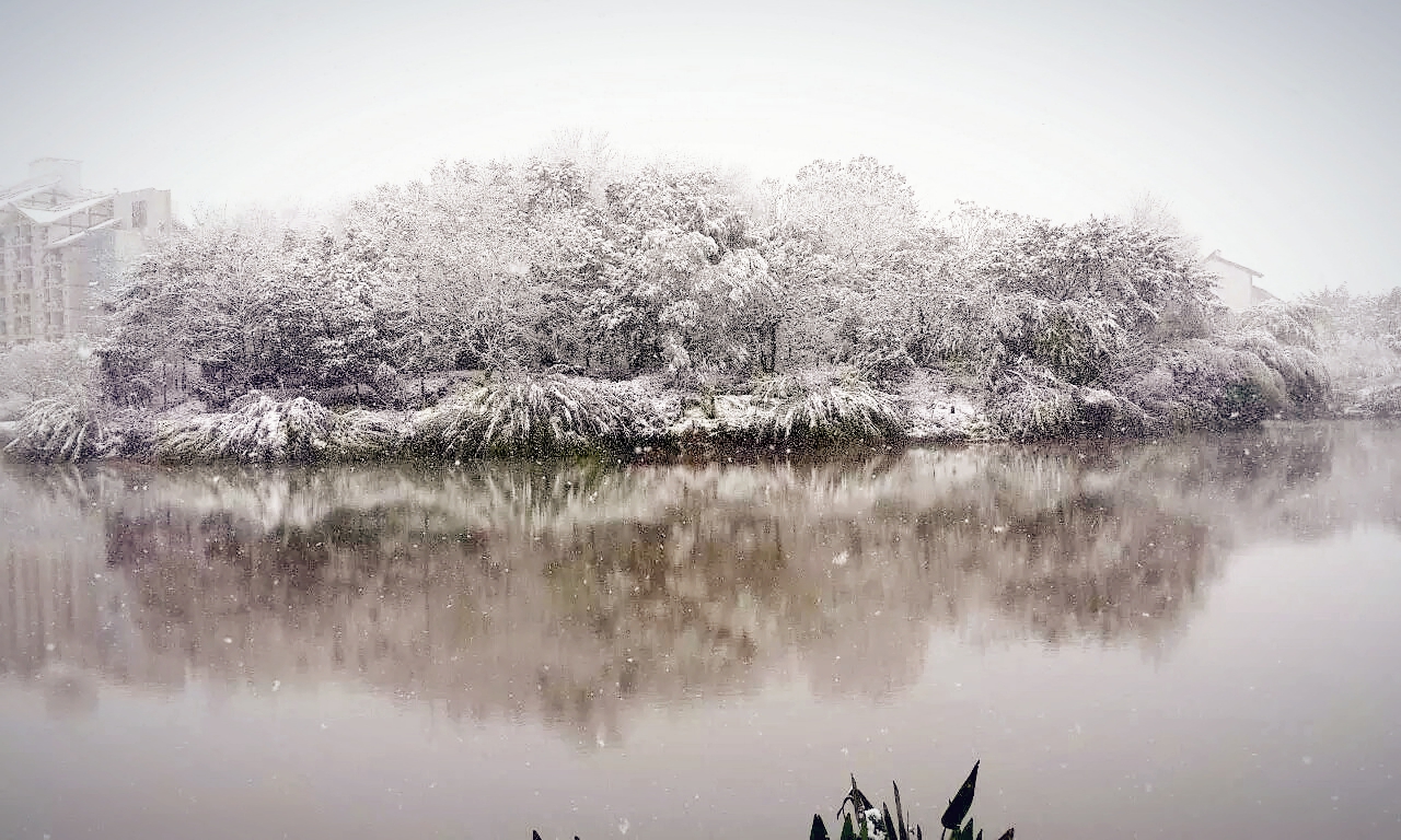 甲甲玲的个人主页（封面预览） - 主页封面设置 - 站酷设计师甲甲玲原创素材 - 站酷ZCOOL