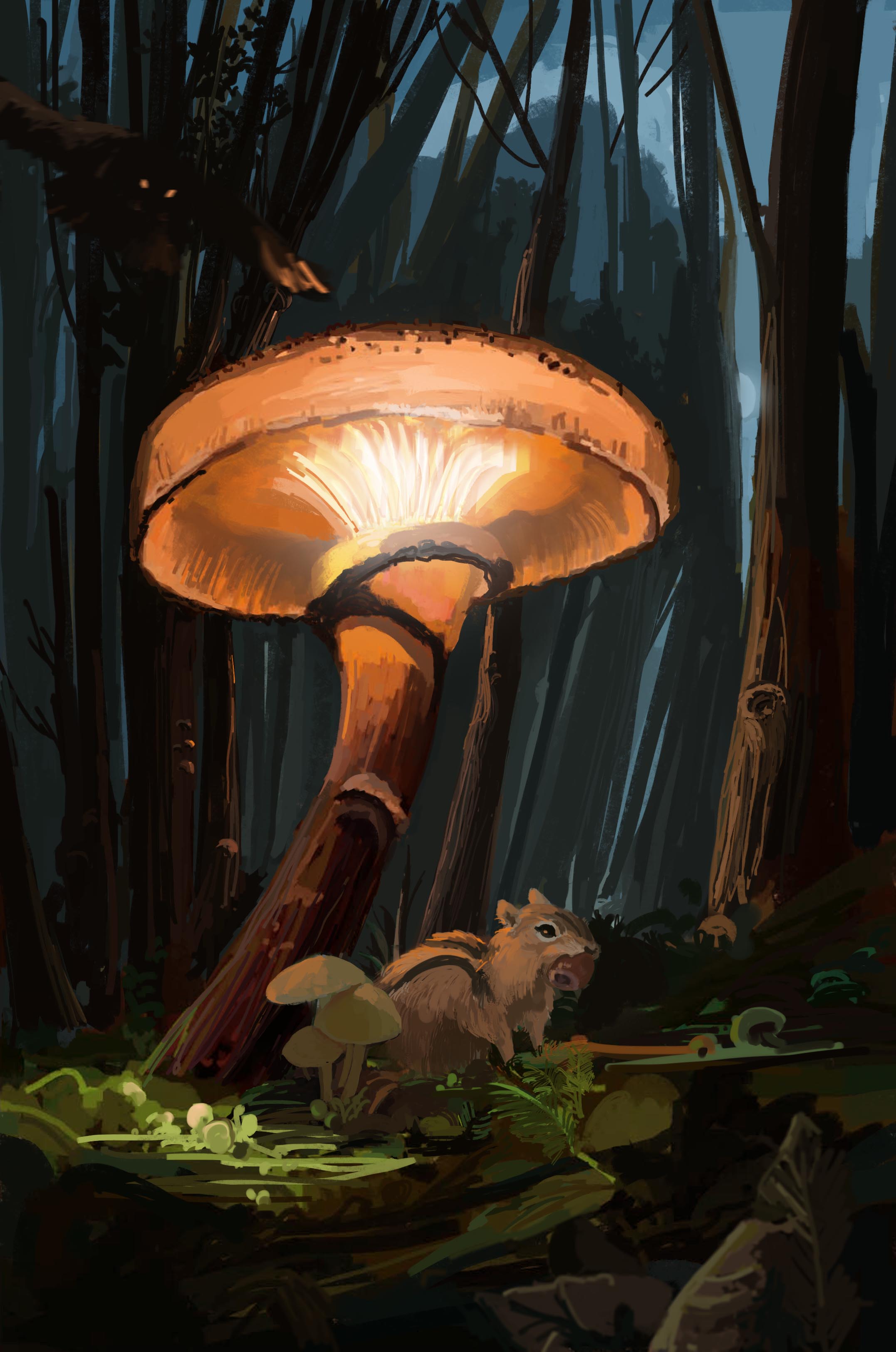 鼓鼓地风的个人主页（封面预览） - 主页封面设置 - 站酷设计师鼓鼓地风原创素材 - 站酷ZCOOL