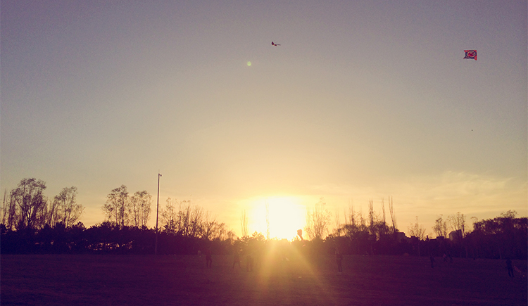 Picture