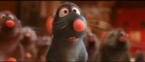 阿啾不当菜鸟的个人主页（封面预览） - 主页封面设置 - 站酷设计师阿啾不当菜鸟原创素材 - 站酷ZCOOL