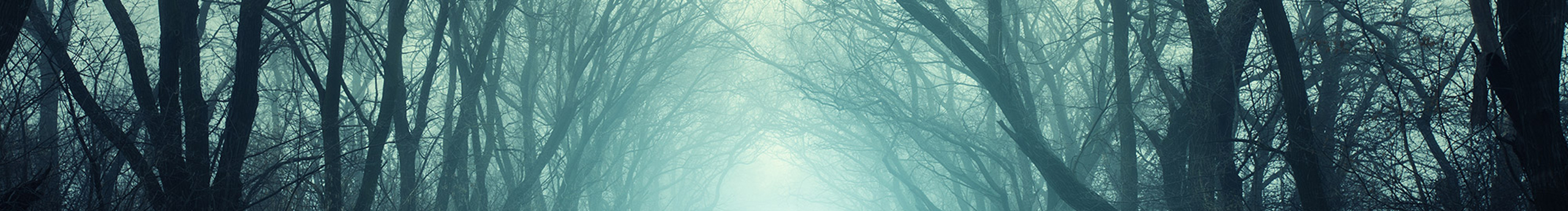 君君5715的个人主页（封面预览） - 主页封面设置 - 站酷设计师君君5715原创素材 - 站酷ZCOOL