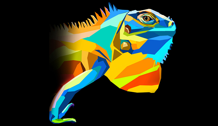 大瓜的瓜的个人主页（封面预览） - 主页封面设置 - 站酷设计师大瓜的瓜原创素材 - 站酷ZCOOL