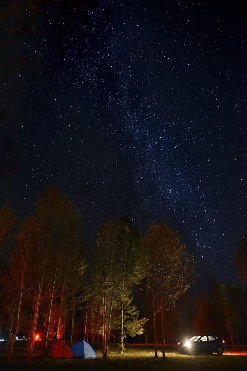 QueenieJo的個(gè)人主頁（封面預(yù)覽） - 主頁封面設(shè)置 - 站酷設(shè)計(jì)師QueenieJo原創(chuàng)素材 - 站酷ZCOOL