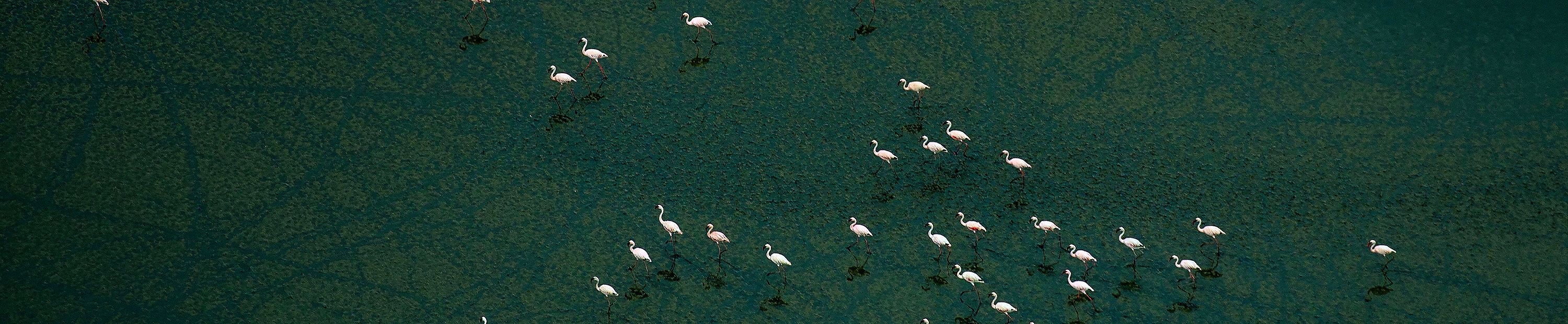 得益于太陽的個人主頁（封面預(yù)覽） - 主頁封面設(shè)置 - 站酷設(shè)計師得益于太陽原創(chuàng)素材 - 站酷ZCOOL